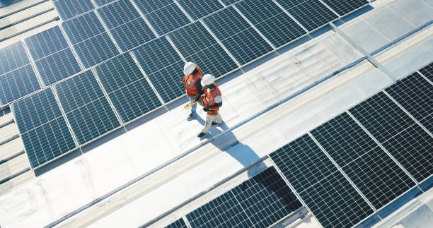 Best Roof Maintenance and Cleaning  in Dixmoor, IL