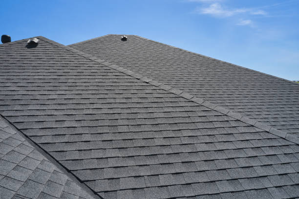 Best Roof Moss and Algae Removal  in Dixmoor, IL